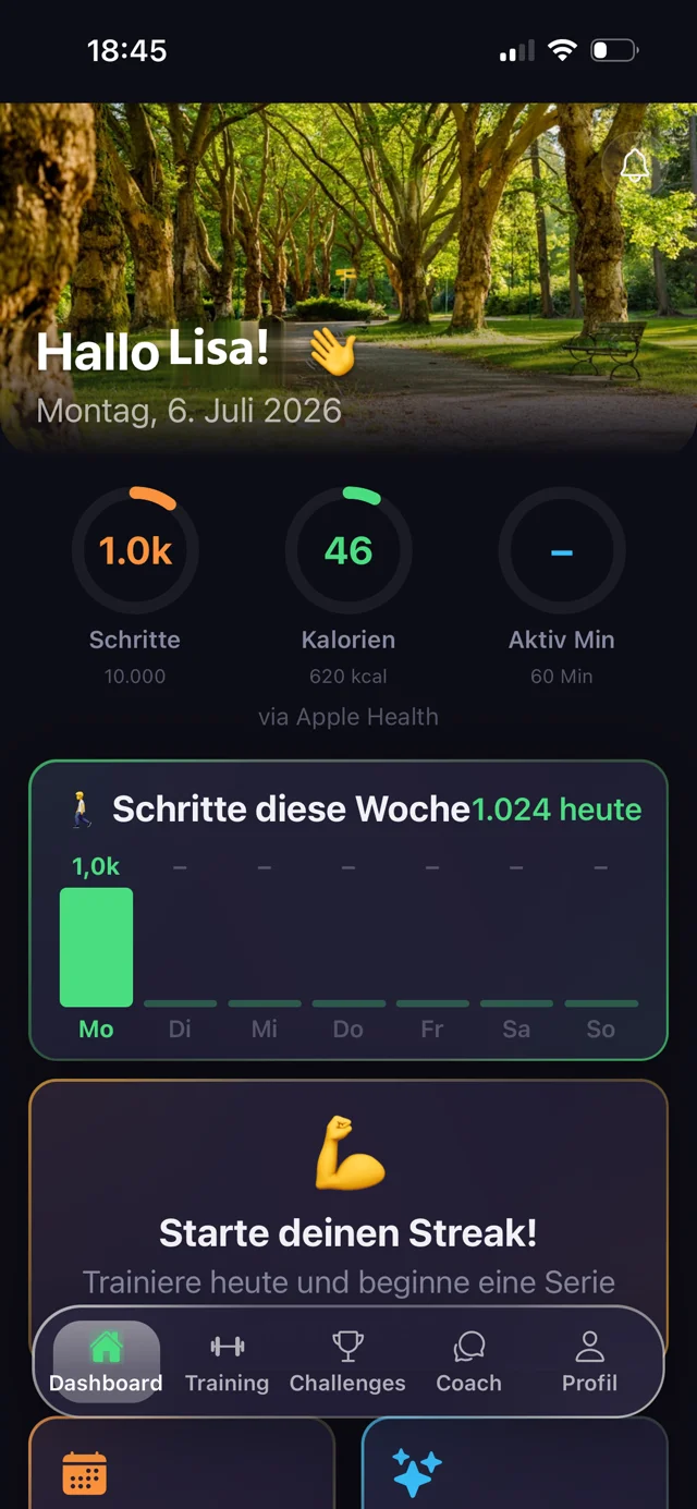 Pulsly Dashboard